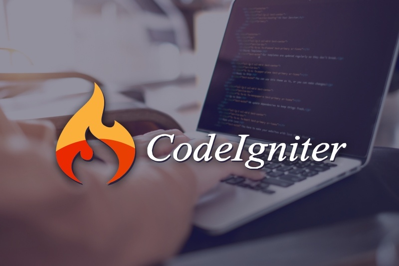 Best Software Development Company