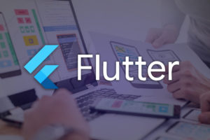 Best Software Development Company