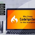 Best Software Development Company