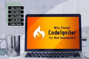 Best Software Development Company
