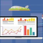 Best Software Development Company