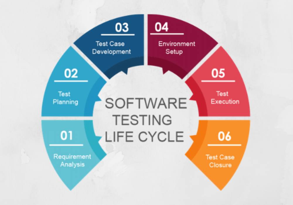 Best Software Development Company