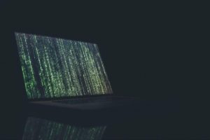 Best Software Development Company