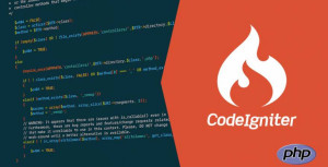 Best Software Development Company